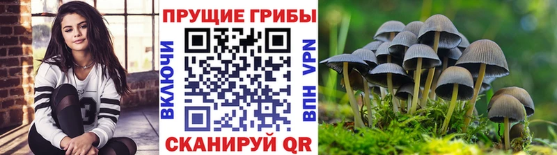 Галлюциногенные грибы MAGIC MUSHROOMS  Первомайск 